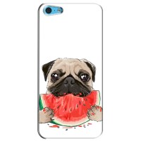 Чехол (ТПУ) Милые собачки для iPhone 5c – Смешной Мопс
