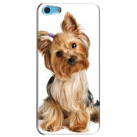 Чехол (ТПУ) Милые собачки для iPhone 5c (Собака Терьер)