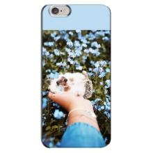Чохли з зображенням різних тварин на iPhone 6 Plus / 6s Plus (Їжачок в руці)