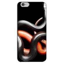 Чохли з зображенням різних тварин на iPhone 6 Plus / 6s Plus (Змія)