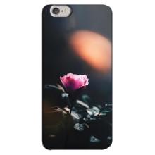 Чохли з принтом Троянд для iPhone 6 Plus / 6s Plus (Квітка нічна)