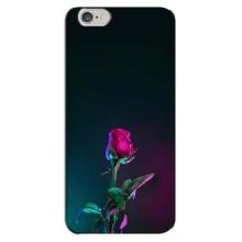 Чохли з принтом Троянд для iPhone 6 Plus / 6s Plus (Нічна троянда)