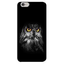 Чохли з принтом СОВИ для iPhone 6 Plus / 6s Plus (Сова на чорному)