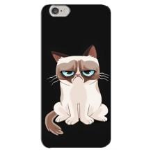 Чохол на тематику: Коти для iPhone 6 Plus / 6s Plus (Погляд кота)