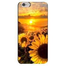 Чохол з Квітами для iPhone 6 Plus / 6s Plus (поле соняшників)