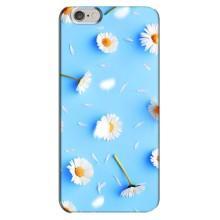 Чохол з Квітами для iPhone 6 Plus / 6s Plus (ромашки на блакитному)