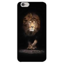 Чохол з картинкою на iPhone 6 Plus / 6s Plus (Гарний Лев)