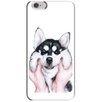 Бампер для iPhone 6 Plus / 6s Plus з картинкою "Песики" – Собака Хаскі