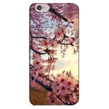 Чохол з картинкою Сакури на iPhone 6 Plus / 6s Plus (Квітуча сакура)