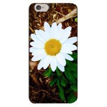 Чохол з ромашками на iPhone 6 Plus / 6s Plus (Біла ромашка)