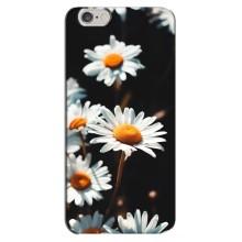 Чохол з ромашками на iPhone 6 Plus / 6s Plus (Білі ромашки)