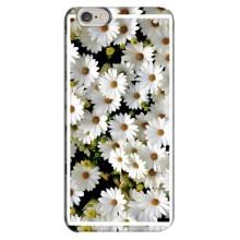 Чохол з ромашками на iPhone 6 Plus / 6s Plus (Рамка в ромашках)