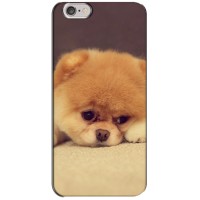 Чехол (ТПУ) Милые собачки для iPhone 6 Plus / 6s Plus – Померанский шпиц