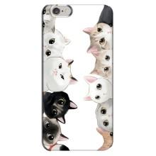 Силіконовий чохол з котиком для iPhone 6 Plus / 6s Plus (Коти)