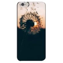 Силіконовий Чохол з кульбабками на iPhone 6 Plus / 6s Plus (Гарна кульбабка)