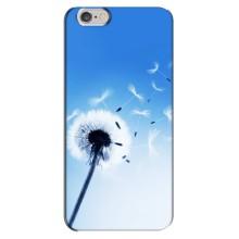 Силіконовий Чохол з кульбабками на iPhone 6 Plus / 6s Plus (Кульбабка на блакитному)