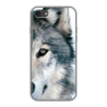 Чохли з картинкою животних iPhone 6 / 6s – Вовк