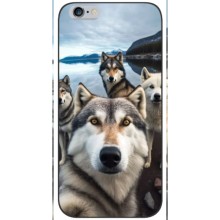 Чохол з Хаскі iPhone 6 / 6s - (AlphaPrint) – Селфі Хаскі