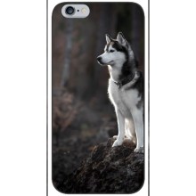 Чохол з Хаскі iPhone 6 / 6s - (AlphaPrint) (Вірний собака)