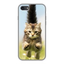 Чехлы с Котиками для iPhone 6 / 6s (VPrint) (Прыжок кота)