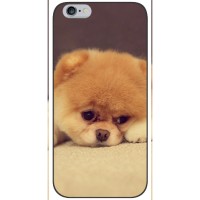 Чехол (ТПУ) Милые собачки для iPhone 6 / 6s (Померанский шпиц)