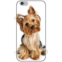 Чехол (ТПУ) Милые собачки для iPhone 6 / 6s – Собака Терьер