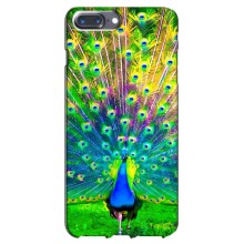 Чехол с птицами на iPhone 7 Plus (VPrint) (Яркий Павлин)