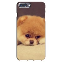 Чехол (ТПУ) Милые собачки для iPhone 7 Plus – Померанский шпиц
