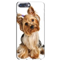 Чехол (ТПУ) Милые собачки для iPhone 7 Plus (Собака Терьер)