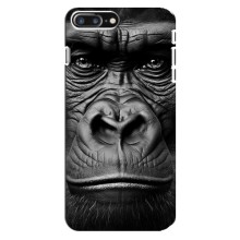 Чехлы с Горилой на Айфон 8 Плюс – Черная обезьяна
