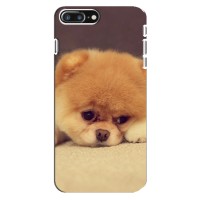 Чехол (ТПУ) Милые собачки для iPhone 8 Plus (Померанский шпиц)