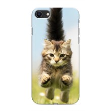 Чехлы с Котиками для iPhone SE (2020) (VPrint) (Прыжок кота)