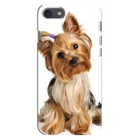 Чехол (ТПУ) Милые собачки для iPhone SE (2020) (Собака Терьер)