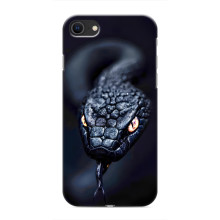 Чехол с картинкой «Хищники» для iPhone SE (2020) – Змея