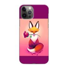 Чехлы с картинкой Лисички для iPhone 11 Pro Max (VPrint) (Лисичка с розочкой)