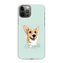 Чехлы с собаками для iPhone 11 Pro Max (VPrint) (Корги)