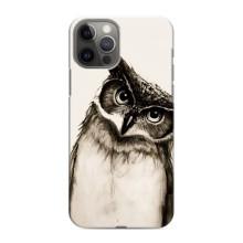 Чехол с птицами на iPhone 11 Pro Max (VPrint) (Сова)