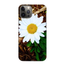Чохол з ромашками на iPhone 11 Pro Max (Біла ромашка)