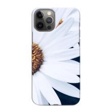 Чохол з ромашками на iPhone 11 Pro Max (Пів ромашки)