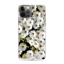Чохол з ромашками на iPhone 11 Pro Max (Рамка в ромашках)