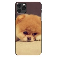 Чехол (ТПУ) Милые собачки для iPhone 11 Pro Max (Померанский шпиц)