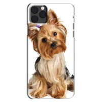 Чехол (ТПУ) Милые собачки для iPhone 11 Pro Max (Собака Терьер)
