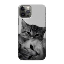 Чехол с рисунком кот на iPhone 11 Pro Max – Пара котов