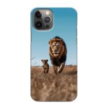 Чохол Король лев на Епл 11 Про Макс (Мусафа і Сімба)