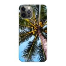 Силиконовый чехол с КАРТИНКАМИ лето для iPhone 11 Pro Max (AlphaPrint) (Пальма)