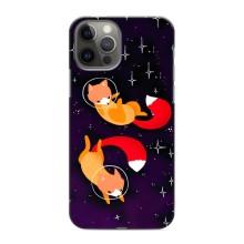 Чохли з картинкою Лисичка для iPhone 11 Pro (VPrint) (Лисички космонавти)