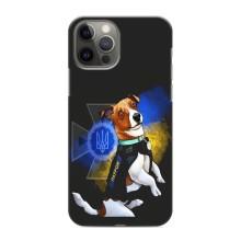 Чехлы с картинкой собаки Патрон для iPhone 11 Pro (AlphaPrint) – Патрон собачка