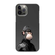Чохли з Мавпами NFT для iPhone 11 Pro (AlphaPrint) (стильна мавпа NFT)