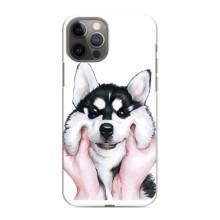 Чохли з собаками для iPhone 11 Pro (VPrint) (Радісний Хаскі)