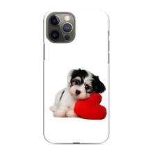 Чохли з собаками для iPhone 11 Pro (VPrint) (Песик)